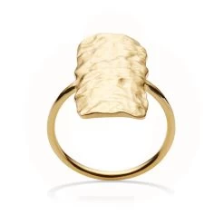 Maanesten - Cuesta Ring - 4302A