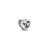 Pandora - Entwined Hearts Charm - 790800C00 -Gavefest 790800C00 1