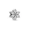 Pandora - Sparkling Herbarium Cluster Charm - Sølv 2 Pandora - Sparkling Herbarium Cluster Charm - Sølv -Gavefest 792623C01 1