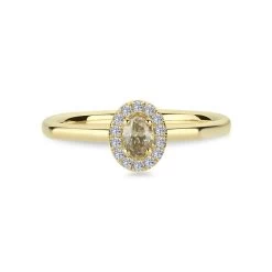 Nuran - Champagne Ring - 14 Kt. Guld