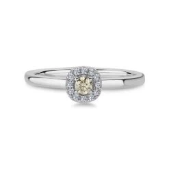 Nuran - Champagne Ring - 14 Kt. Hvidguld