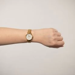 CAVI Watches- Orion Ur - Forgyldt Stål -Gavefest CLG C547 23 M