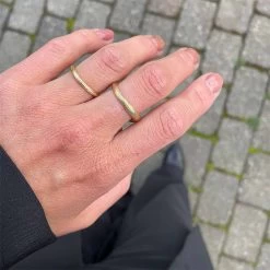 Pernille Corydon - Elva Ring - R-249-GP -Gavefest R 249 GP 2