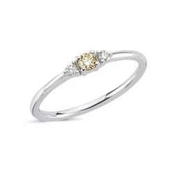 Nuran - Petit Champagne Ring - 14 Kt. Hvidguld