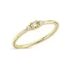 Nuran - Petit Champagne Ring - 14 Kt. Guld -Gavefest R1210 CH 015 RG 1