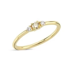 Nuran - Petit Champagne Ring - 14 Kt. Guld