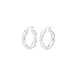 View Jewellery - Luna Creoler - VOR24277-RH